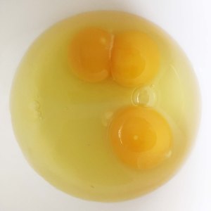 two egg yolks in one egg