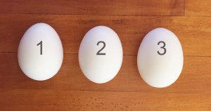 eggs in a row